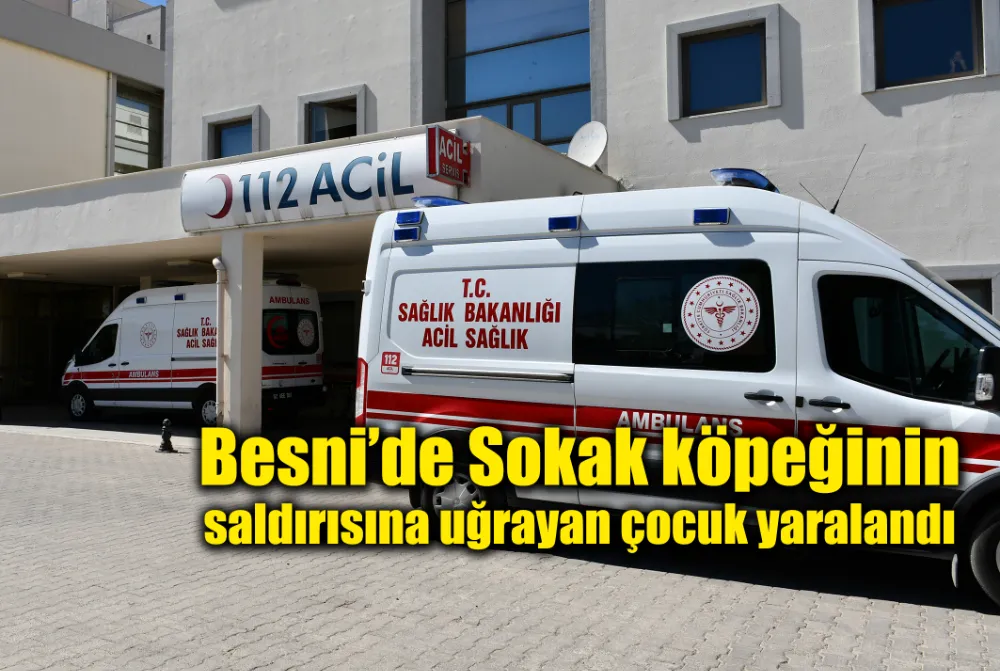 Besni’de Sokak köpeğinin saldırısına uğrayan çocuk yaralandı