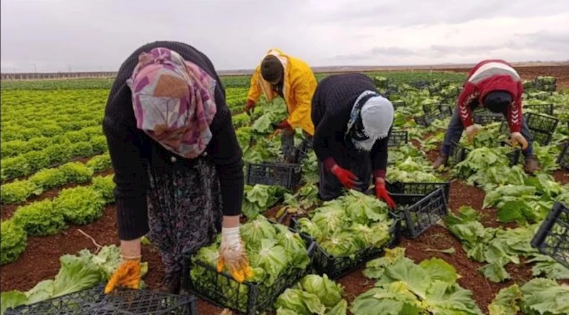 Adıyaman Sulama Birliği