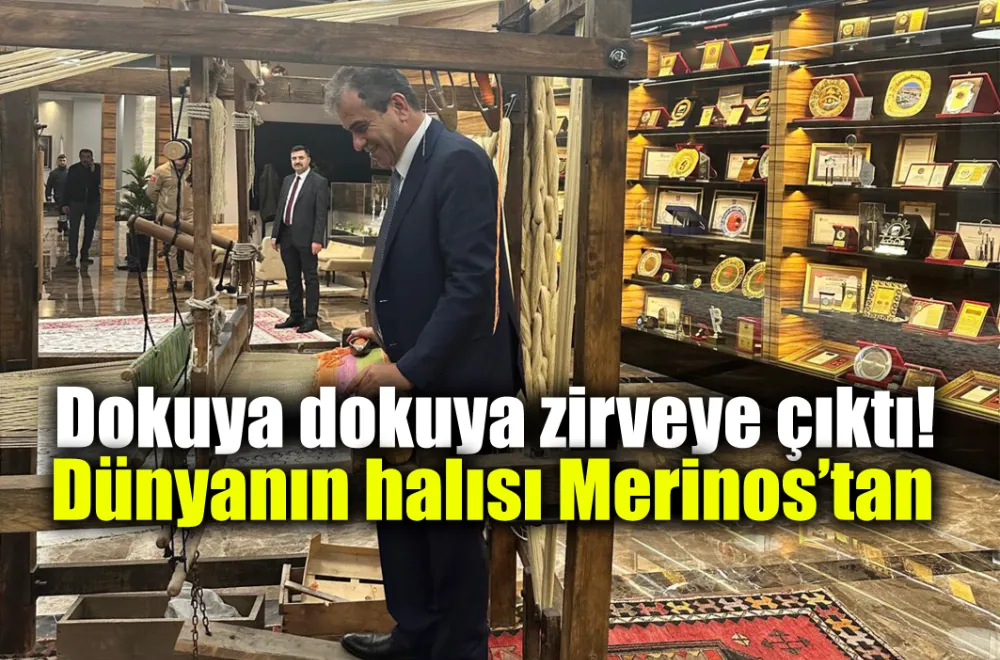 Dünyanın halısı Merinos’tan