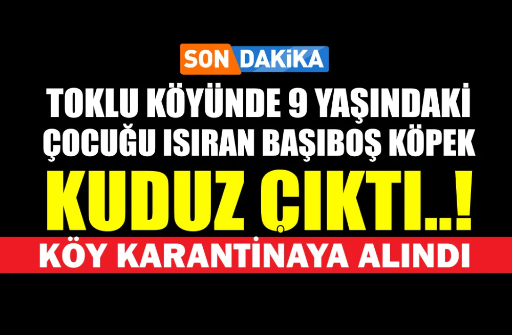 TOKLU KÖYÜNDE 9 YAŞINDAKİ ÇOCUĞU ISIRAN KÖPEK KUDUZ ÇIKTI