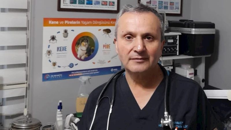 Veteriner Hekim Yıldız: Hayvancılıkta silaj yapmanın zamanı geldi 