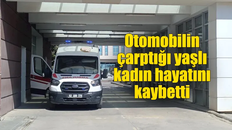 Otomobilin çarptığı yaya hayatını kaybetti