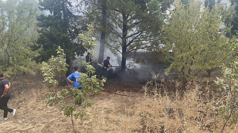 Ağaçlık alanda çıkan yangın paniğe neden oldu  - Videolu Haber