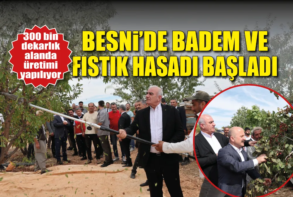 BESNİ’DE FISTIK VE BADEM HASADI BAŞLADI