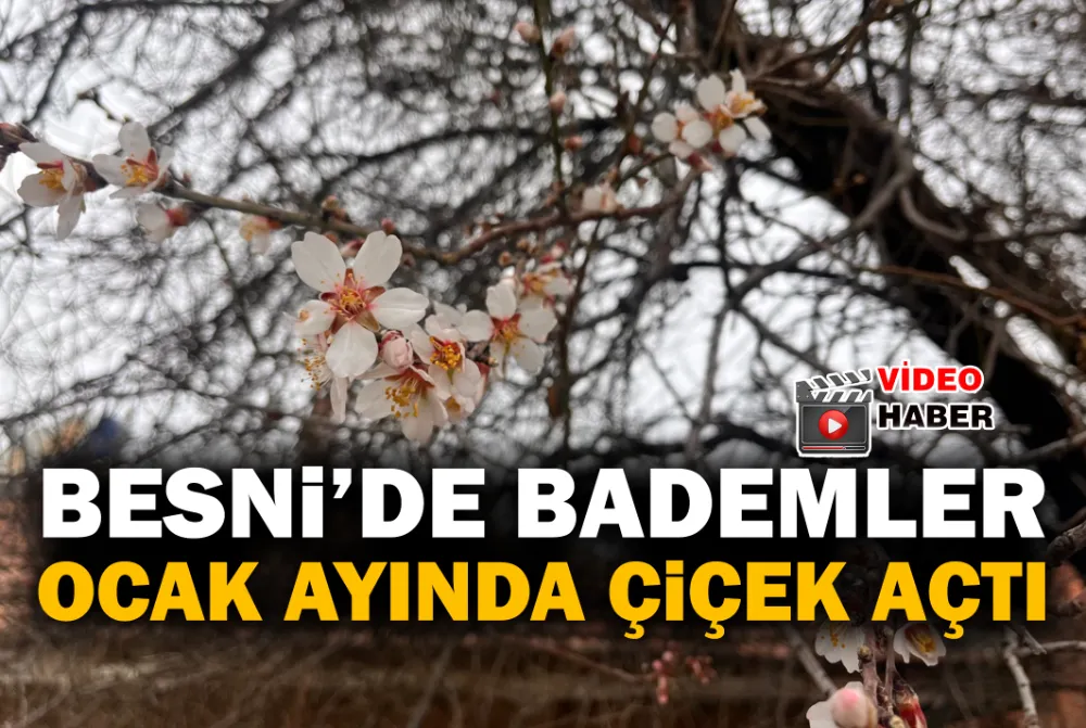 BESNİ’DE BADEMLER OCAK AYINDA ÇİÇEK AÇTI