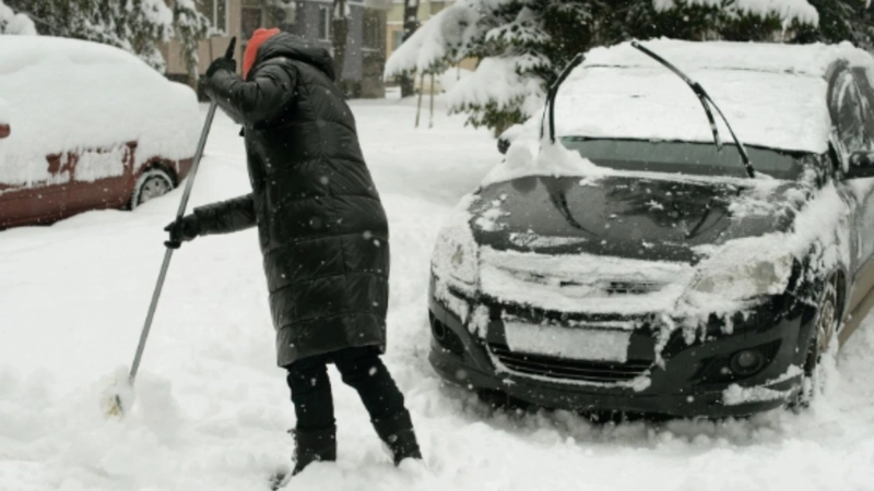 Meteoroloji uyardı: Yurtta kar ve sağanak yağış etkili olacak 