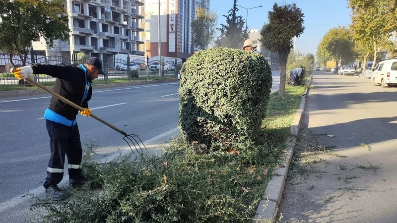 Adıyaman Belediyesi’nden kış öncesi ağaç budama ve bakım çalışması  - Videolu Haber