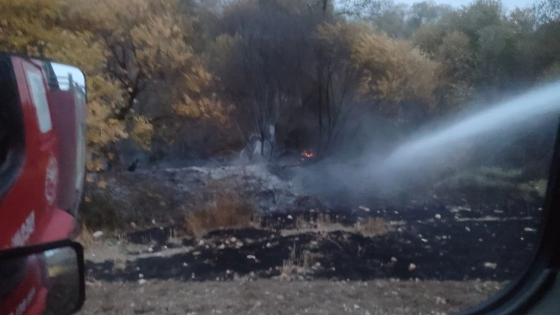 Besni’de Kesecik Köyü’nde çıkan yangın kontrol altına alındı  - Videolu Haber