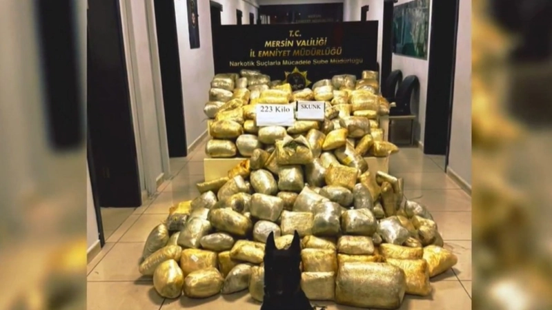 Bakan Yerlikaya: ‘Mersin ve Erzurum’da 447,5 kilo uyuşturucu ele geçirildi’ 