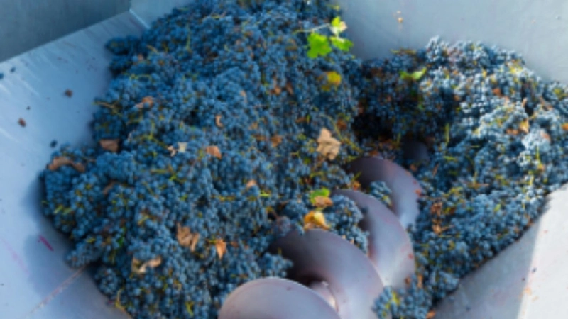 Adıyaman’da üzüm sıkma makinesi dağıtımı için başvurular başladı 