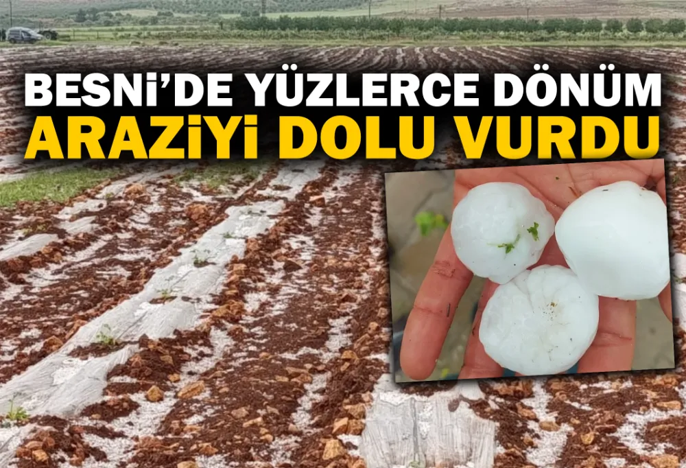BESNİ’DE YÜZLERCE DÖNÜM ARAZİYİ DOLU VURDU