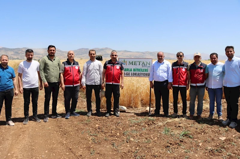 Adıyaman’da ‘Kuraklığa Dayanıklı Tohum’ çalışmaları incelendi 
