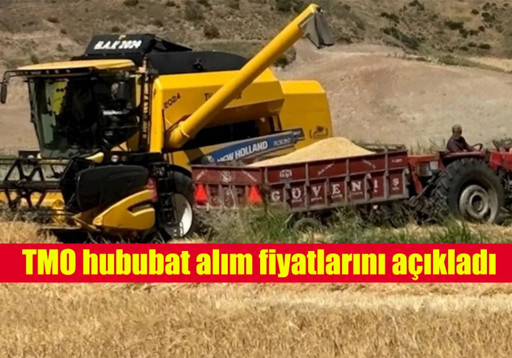 TMO hububat alım fiyatlarını açıkladı
