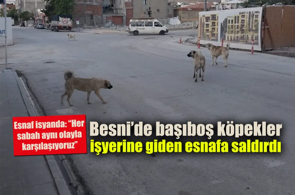 Besni’de başıboş köpekler işyerine giden esnafa saldırdı