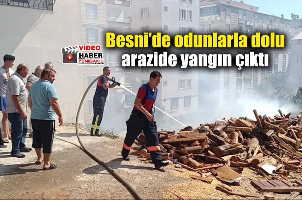 Odun dolu arazide korkutan yangın  - Videolu Haber