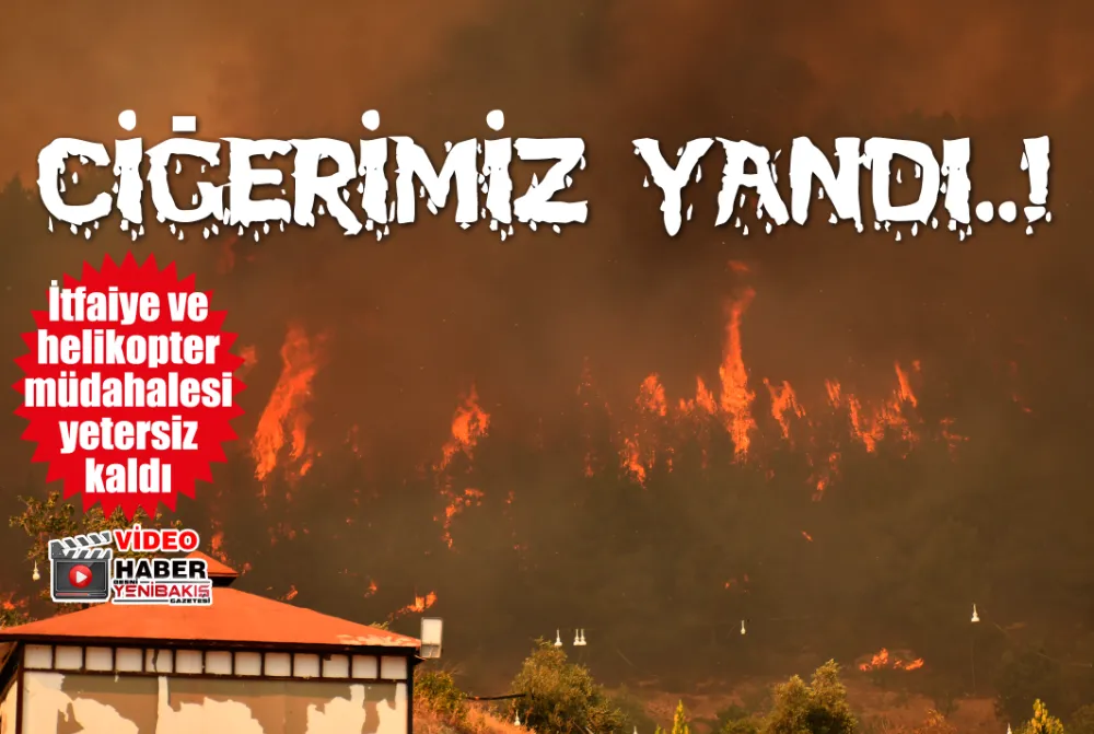 200 HEKTAR ORMAN ALANI KÜLE DÖNDÜ